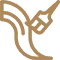 PG